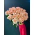 Букет из 25 французских роз "Рождение звезды"